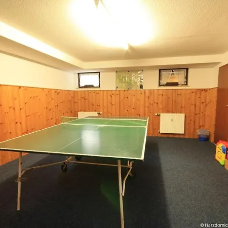 Harzer Glueck Mit Balkon Und Sauna Apartment