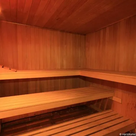 Harzer Glueck Mit Balkon Und Sauna Apartment *