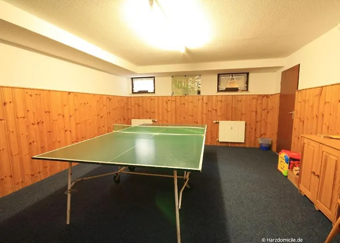 Harzer Glueck Mit Balkon Und Sauna Апартаменты