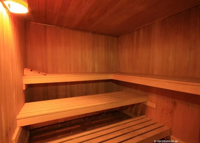 Harzer Glueck Mit Balkon Und Sauna Апартаменты *