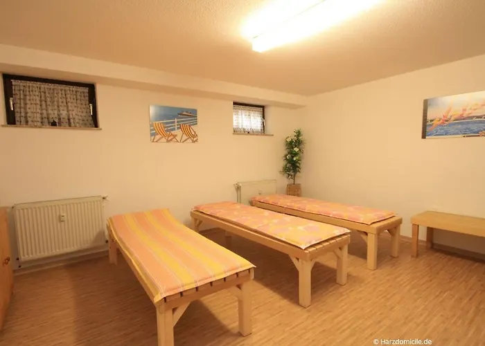 Harzer Glueck Mit Balkon Und Sauna