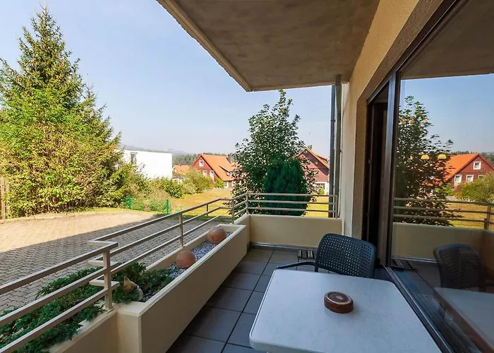 Harzer Glueck Mit Balkon Und Sauna Апартаменты